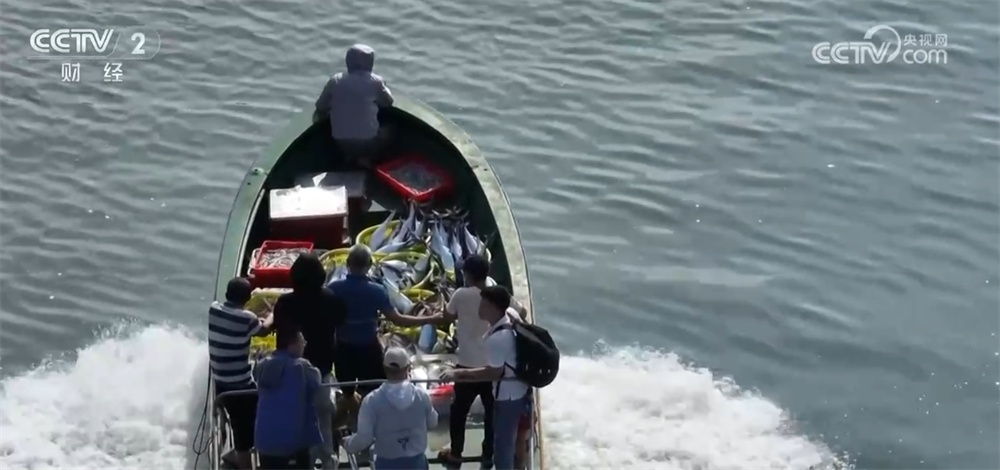 我国“蓝色粮仓”深藏着哪些“宝藏”?跟随镜头一起探访“鱼货满舱” 我国“蓝色粮仓”深藏着哪些“宝藏”?跟随镜头一起探访“鱼货满舱”