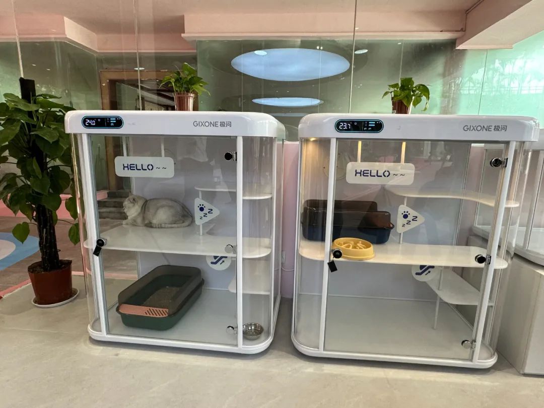 就在广州!全国首个宠物航站楼来啦 就在广州!全国首个宠物航站楼来啦