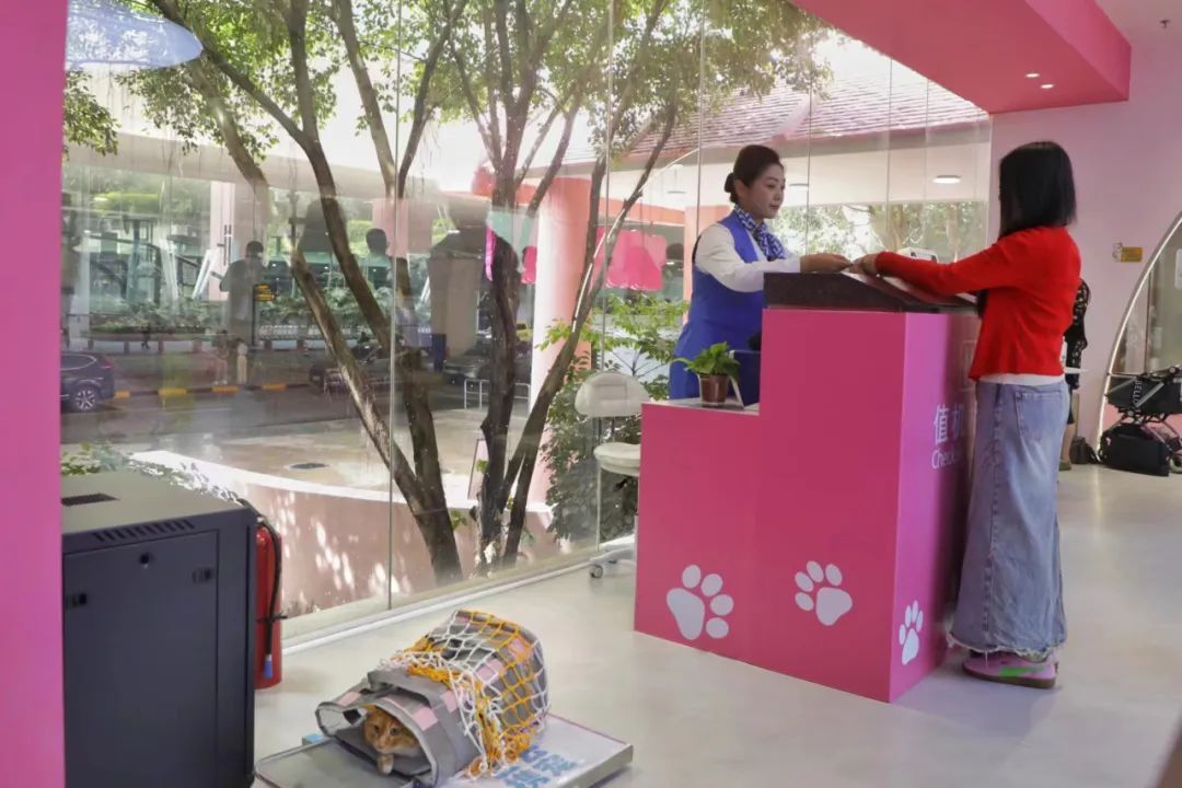 就在广州!全国首个宠物航站楼来啦 就在广州!全国首个宠物航站楼来啦