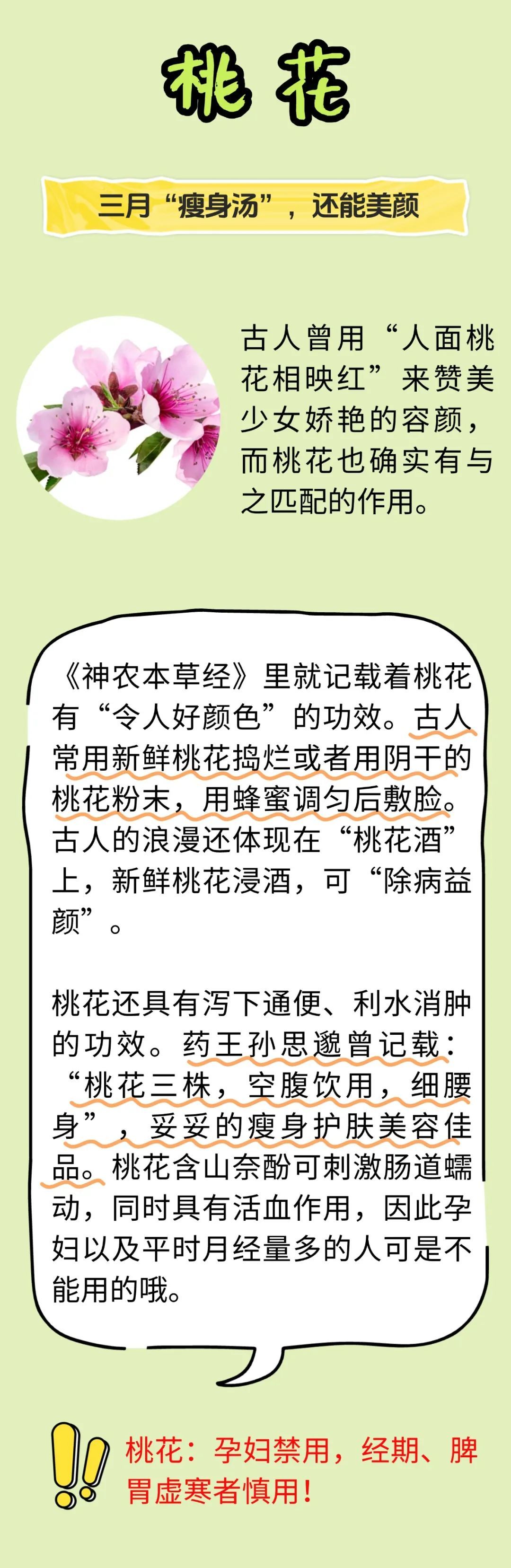 这些好看的花,还能治病? 这些好看的花,还能治病?