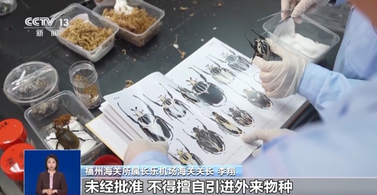 有些“异宠”不宜宠 专家：购买饲养前要做到“三查”