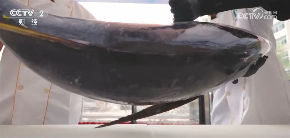 我国“蓝色粮仓”深藏着哪些“宝藏”?跟随镜头一起探访“鱼货满舱” 我国“蓝色粮仓”深藏着哪些“宝藏”?跟随镜头一起探访“鱼货满舱”