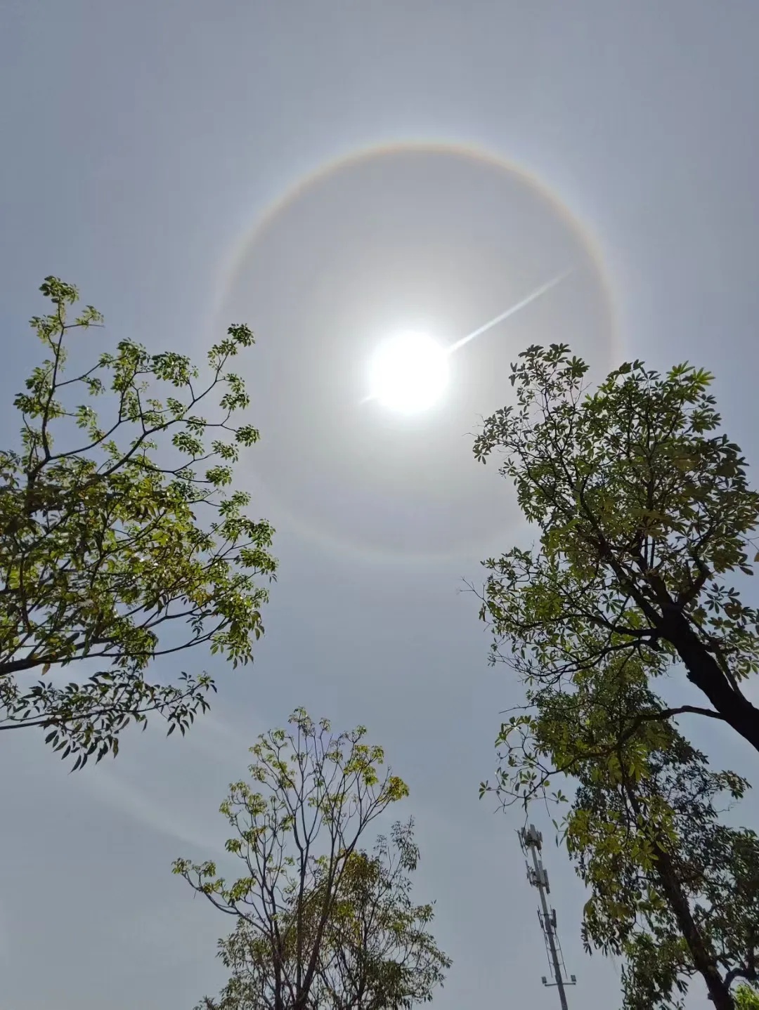 南宁惊现日晕奇观！你拍到“天空之眼”了吗？