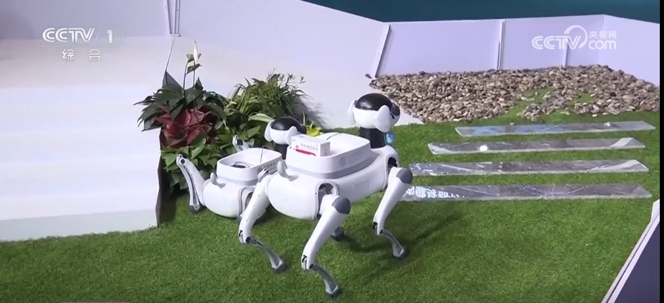 消费热、创新高…… 多领域“枝繁叶茂” 中国经济向好回升基础持续巩固