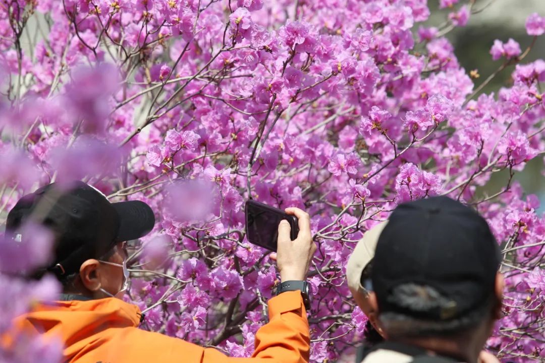 辽宁有医院每天接诊近百人 近期高发,严重可致命 辽宁有医院每天接诊近百人 近期高发,严重可致命