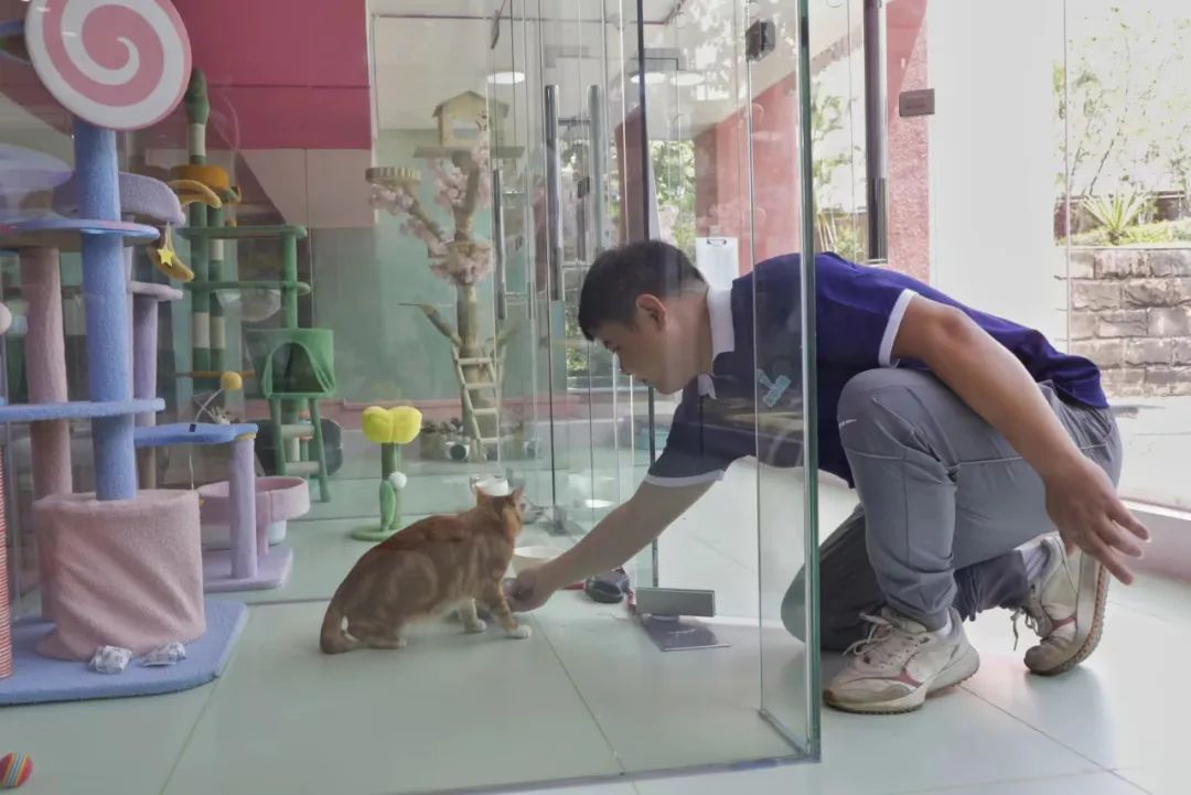 就在广州!全国首个宠物航站楼来啦 就在广州!全国首个宠物航站楼来啦