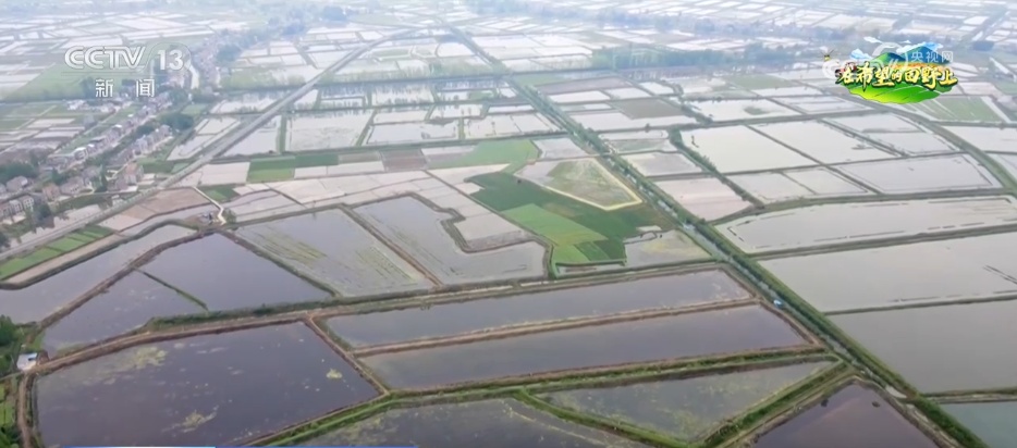 科技“点亮”希望的田野 绘就一幅幅多彩春日生产画卷