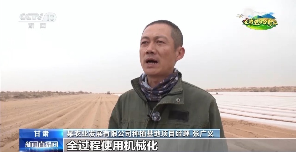 棉花套种孜然、智能化播种……各地春播有序推进