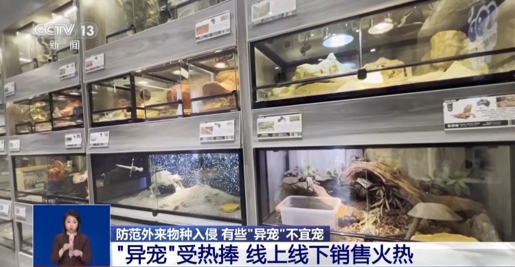 有些“异宠”不宜宠 专家：购买饲养前要做到“三查”