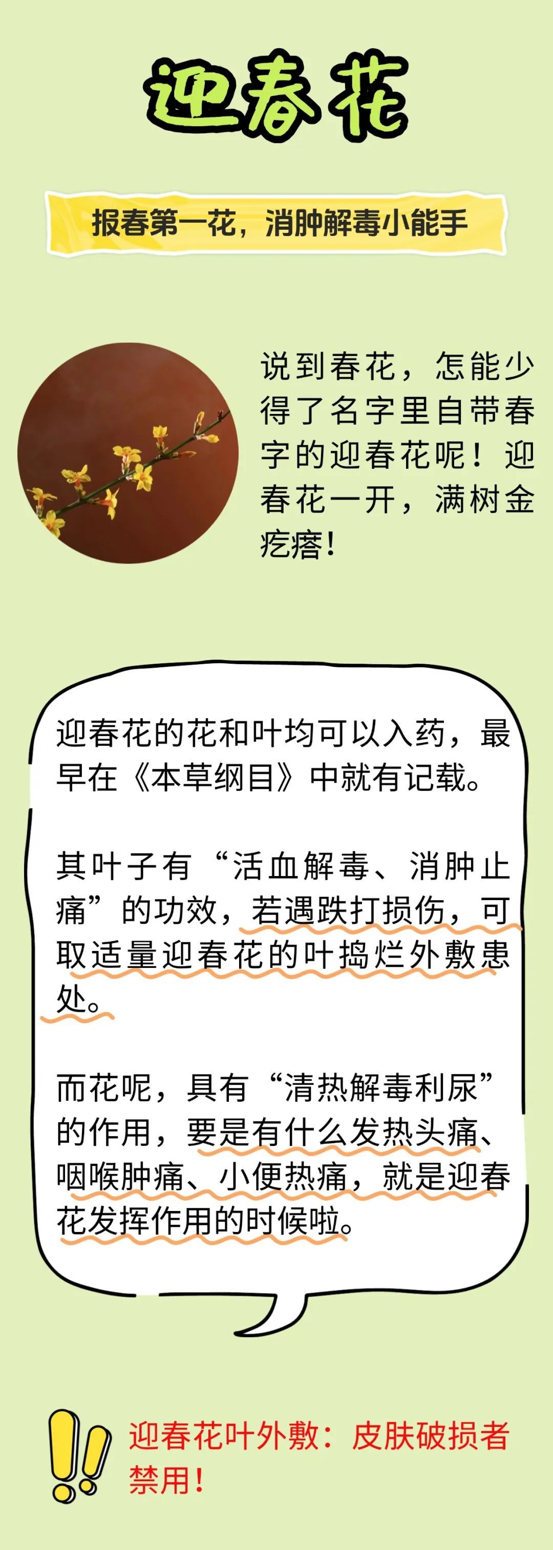 这些好看的花,还能治病? 这些好看的花,还能治病?