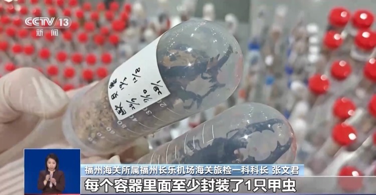 有些“异宠”不宜宠 专家：购买饲养前要做到“三查”