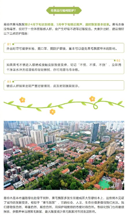 行道树飘絮如何治理?市民出行如何防护?看这里→ 行道树飘絮如何治理?市民出行如何防护?看这里→