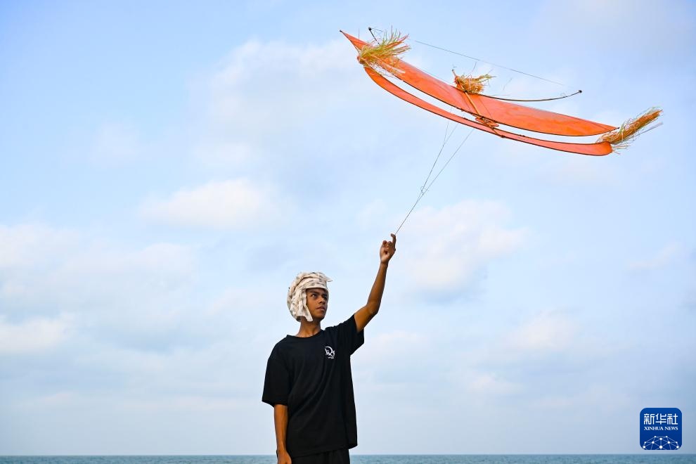 魅力亚太丨鸢飞南洋 魅力亚太丨鸢飞南洋
