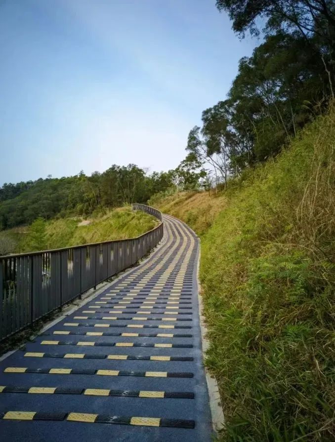 深圳一绿道现“搓衣板式”减速带？官方回应！