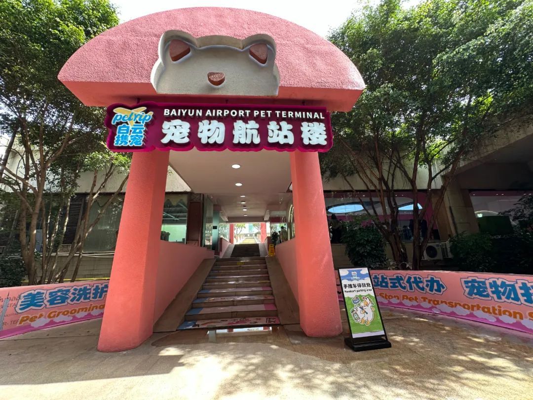 就在广州!全国首个宠物航站楼来啦 就在广州!全国首个宠物航站楼来啦