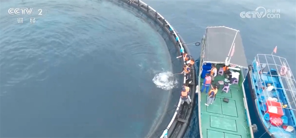 我国“蓝色粮仓”深藏着哪些“宝藏”?跟随镜头一起探访“鱼货满舱” 我国“蓝色粮仓”深藏着哪些“宝藏”?跟随镜头一起探访“鱼货满舱”