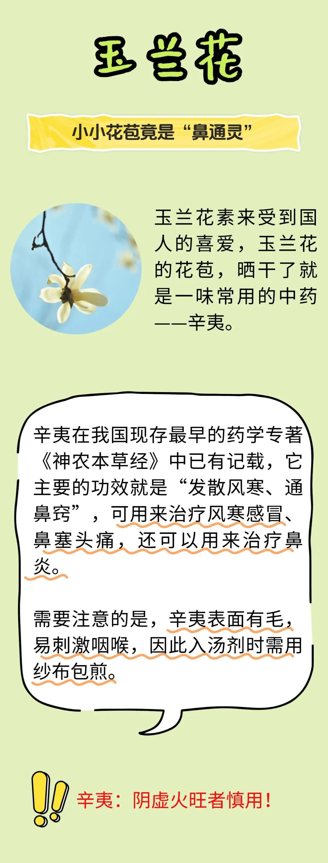 这些好看的花,还能治病? 这些好看的花,还能治病?