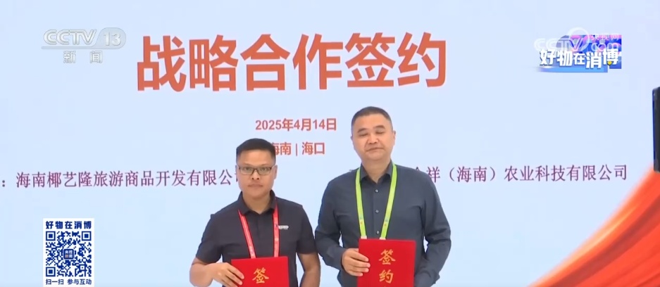 “国际范”与“烟火气”并存 消博会助力外贸优品拓展内销“新”市场