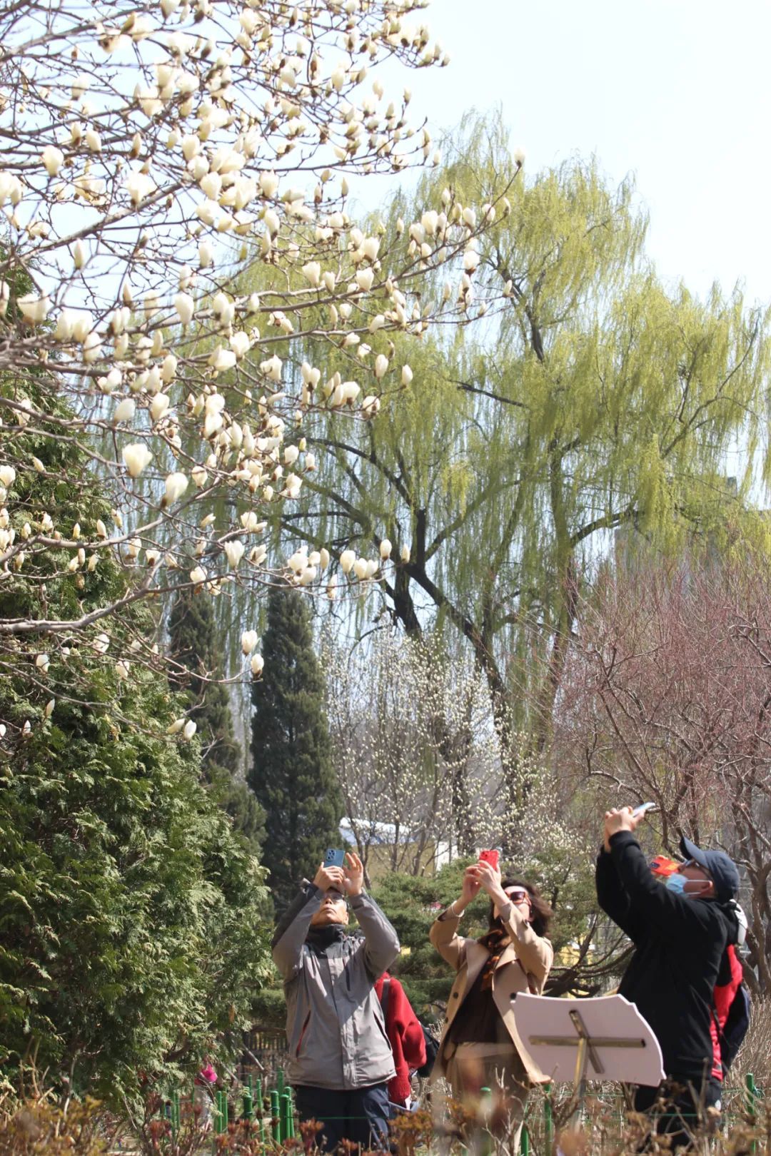 辽宁有医院每天接诊近百人 近期高发,严重可致命 辽宁有医院每天接诊近百人 近期高发,严重可致命