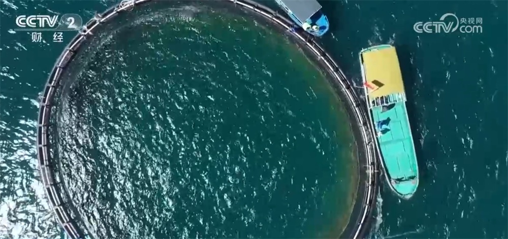 我国“蓝色粮仓”深藏着哪些“宝藏”?跟随镜头一起探访“鱼货满舱” 我国“蓝色粮仓”深藏着哪些“宝藏”?跟随镜头一起探访“鱼货满舱”