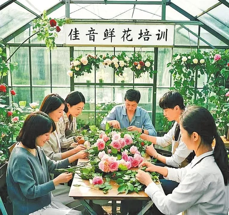 当最后一朵牡丹凋谢，你还会再来吗？