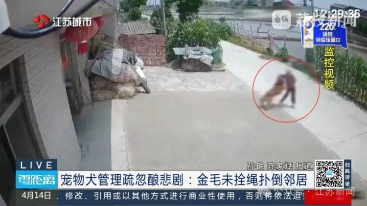 八旬老人被邻居金毛扑倒致死,邻居不愿赔10万,法院:赔40万! 八旬老人被邻居金毛扑倒致死,邻居不愿赔10万,法院:赔40万!