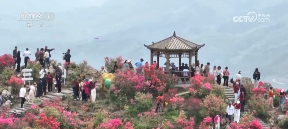 消费热、创新高…… 多领域“枝繁叶茂” 中国经济向好回升基础持续巩固