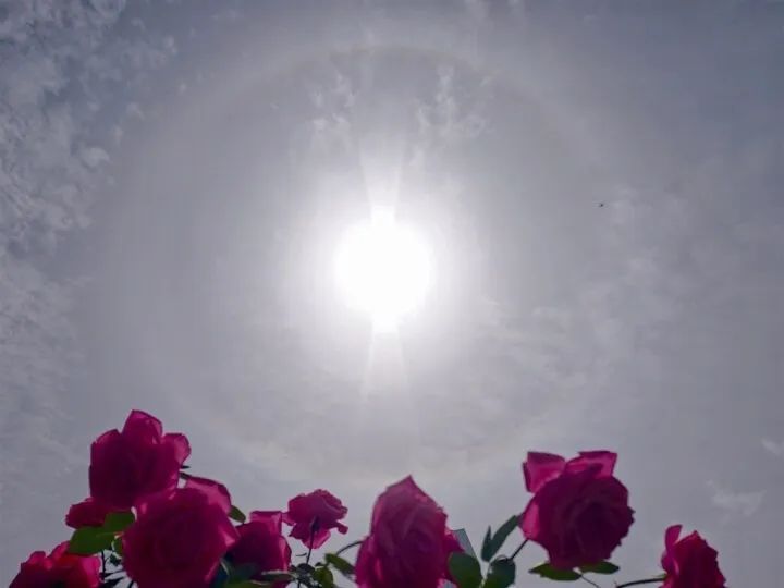 夏天要来了！广西局地最高气温或飙升至38℃