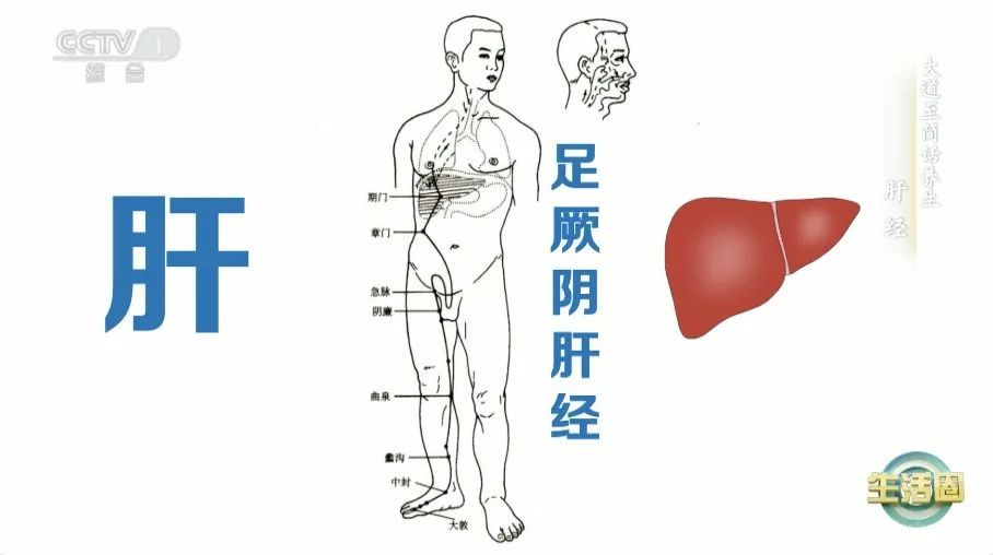 肝不好的人,身体这两处会“说话”!春季养肝建议你做好这5件事 肝不好的人,身体这两处会“说话”!春季养肝建议你做好这5件事
