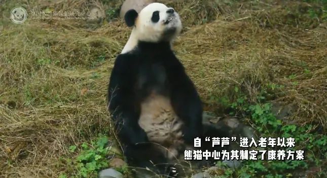 痛惜!官方证实已去世,参与过多部电影拍摄,被称"英雄父亲" 痛惜!官方证实已去世,参与过多部电影拍摄,被称"英雄父亲"