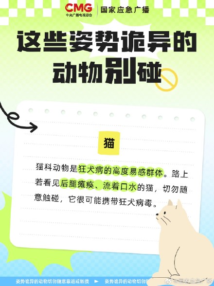 扩散提醒！遇到姿势诡异的鸟千万别碰