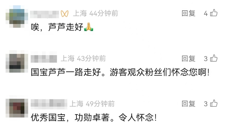 大熊猫“芦芦”去世！被称为“英雄父亲”，共育有50多个子女，还是“福宝”外公