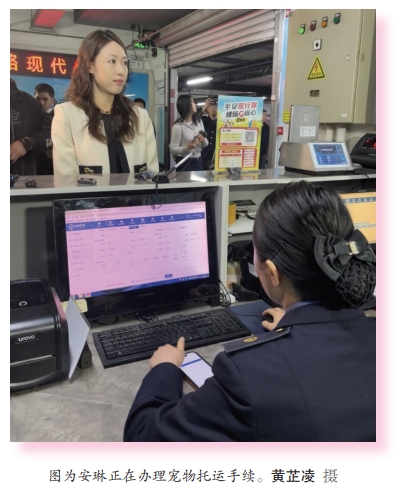 全国首趟！高铁宠物托运列车开运