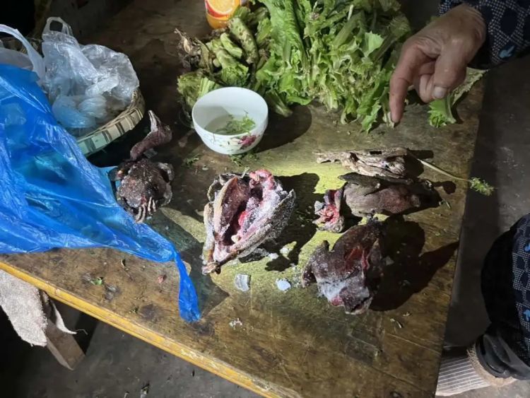 抓小偷查出枪？遂宁何大爷这一下整得够呛！