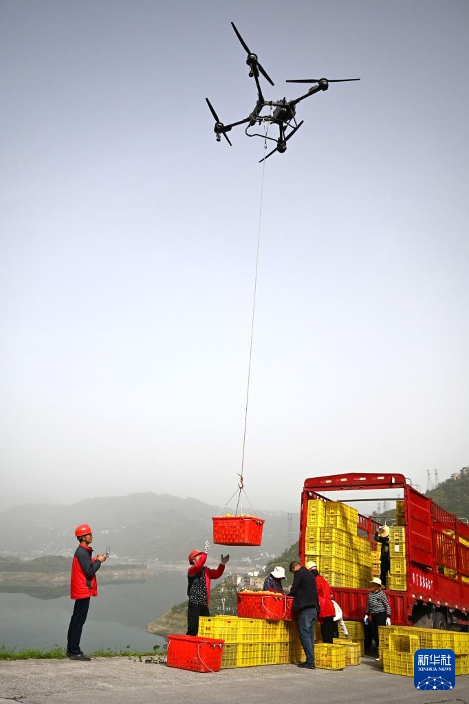 湖北秭归:脐橙“飞”上天 湖北秭归:脐橙“飞”上天