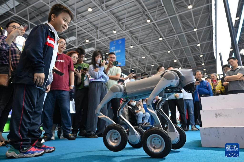 第五届消博会丨国货潮涌消博会