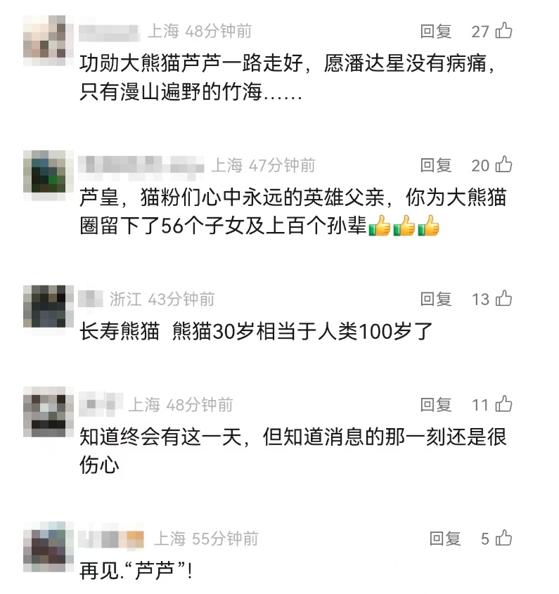 大熊猫“芦芦”去世！被称为“英雄父亲”，共育有50多个子女，还是“福宝”外公