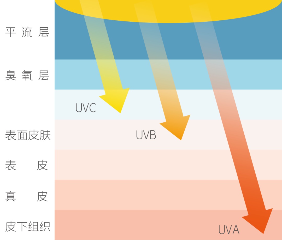 物理防晒or化学防晒？选错当心越防越伤！