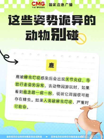 扩散提醒！遇到姿势诡异的鸟千万别碰