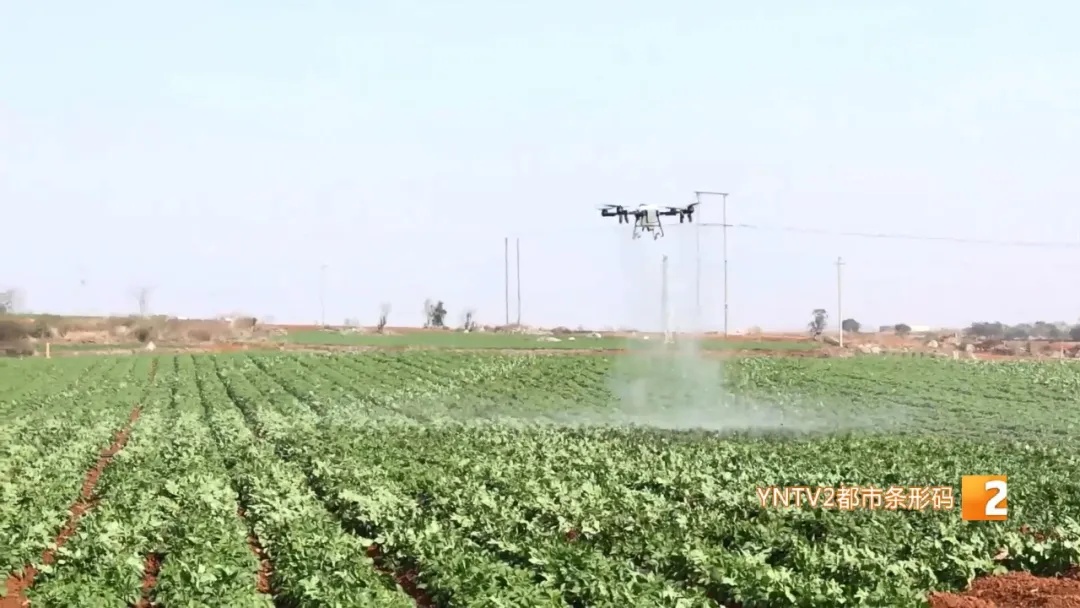 高温、阵性大风……云南气温进入“快车道”!警惕这些强对流天气 高温、阵性大风……云南气温进入“快车道”!警惕这些强对流天气