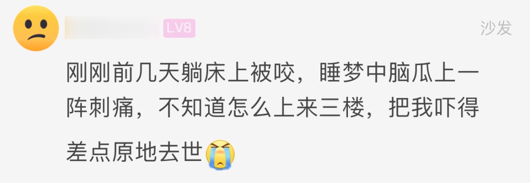 睡梦中突然一阵刺痛，醒来一看吓坏了！