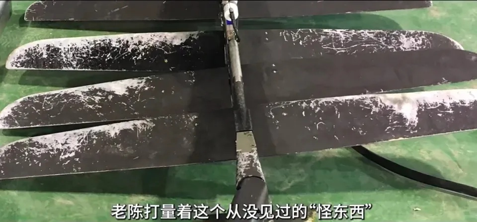 渔民捕到一个“怪东西”，帮忙挖出潜伏多年的间谍网