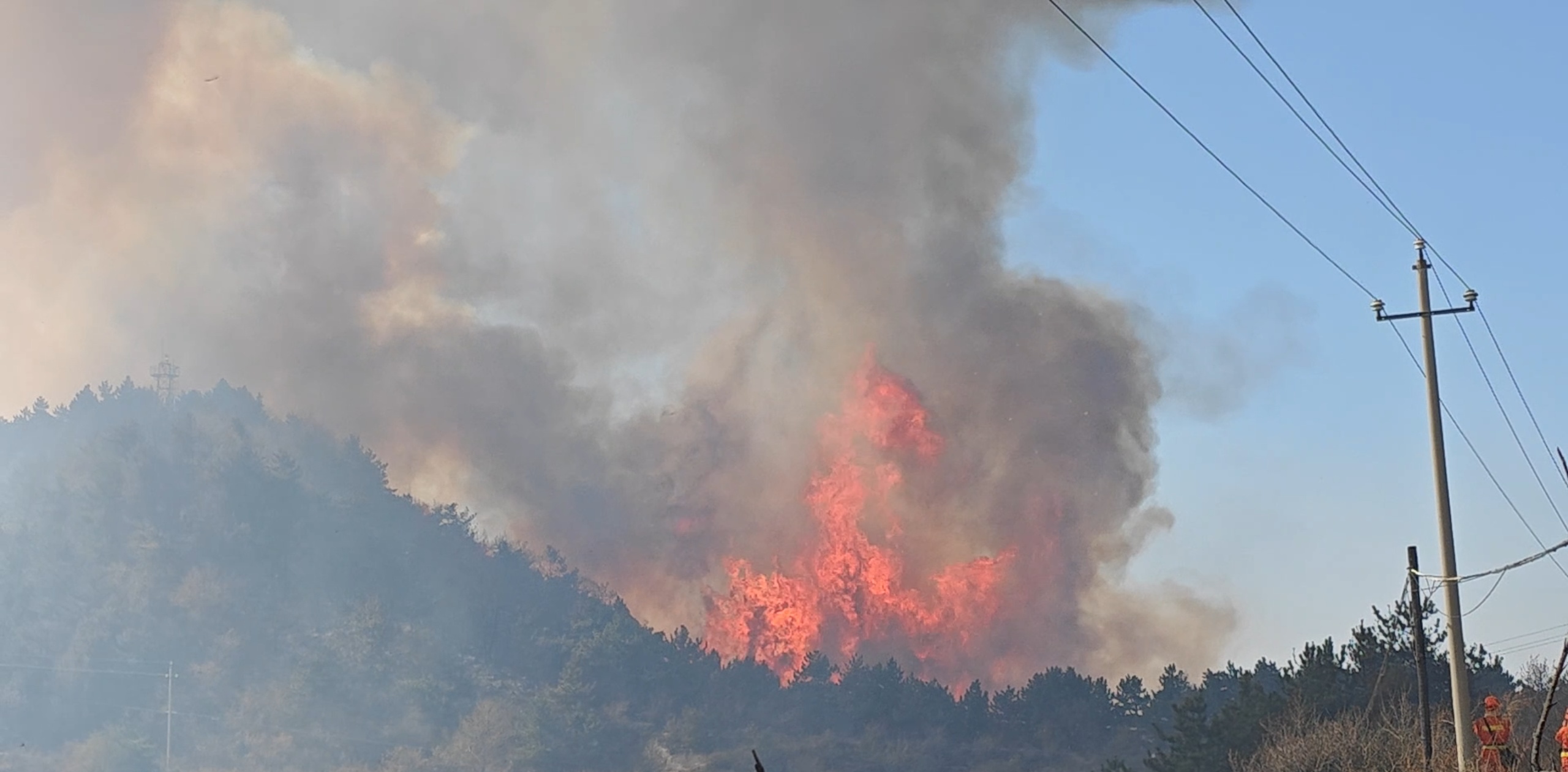 山西壶关森林火灾现场：消防员扑救遇风向突变 紧急避险