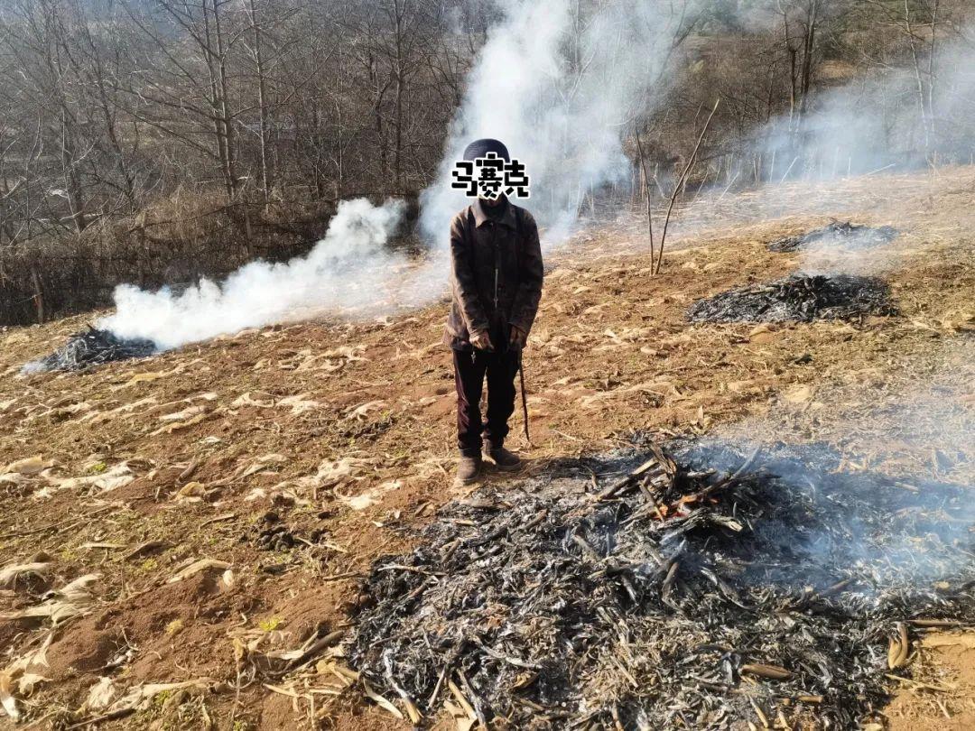 违规野外用火或涉嫌犯罪！森林防火“十不要”得记牢