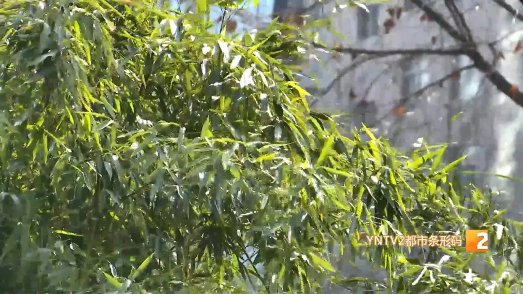 高温、阵性大风……云南气温进入“快车道”!警惕这些强对流天气 高温、阵性大风……云南气温进入“快车道”!警惕这些强对流天气