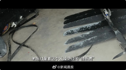 渔民老陈捞到谍鱼立功了