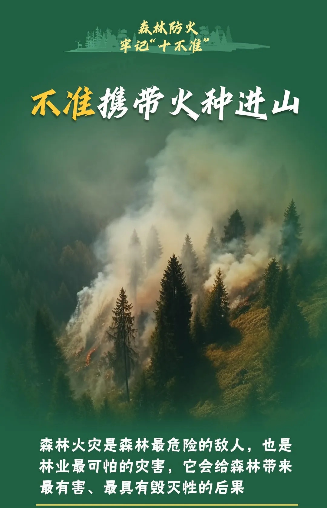 山西壶关县山火已蔓延至陵川县，266名居民紧急转移！