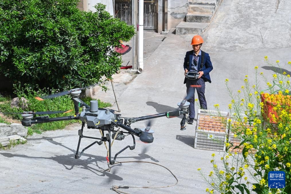 湖北秭归:脐橙“飞”上天 湖北秭归:脐橙“飞”上天