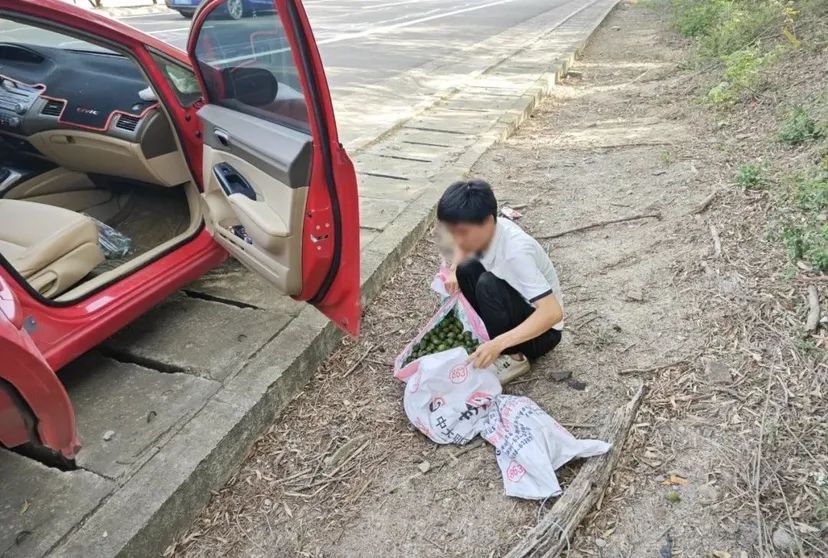 司机高速上违停，竟是在专心挑选槟榔……
