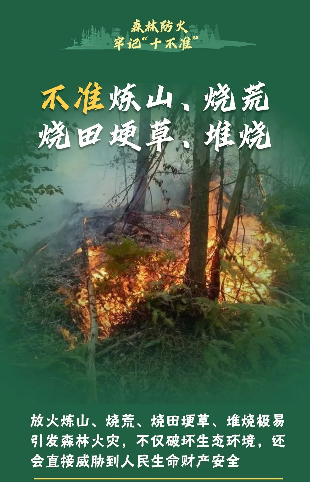 山西壶关县山火已蔓延至陵川县，266名居民紧急转移！